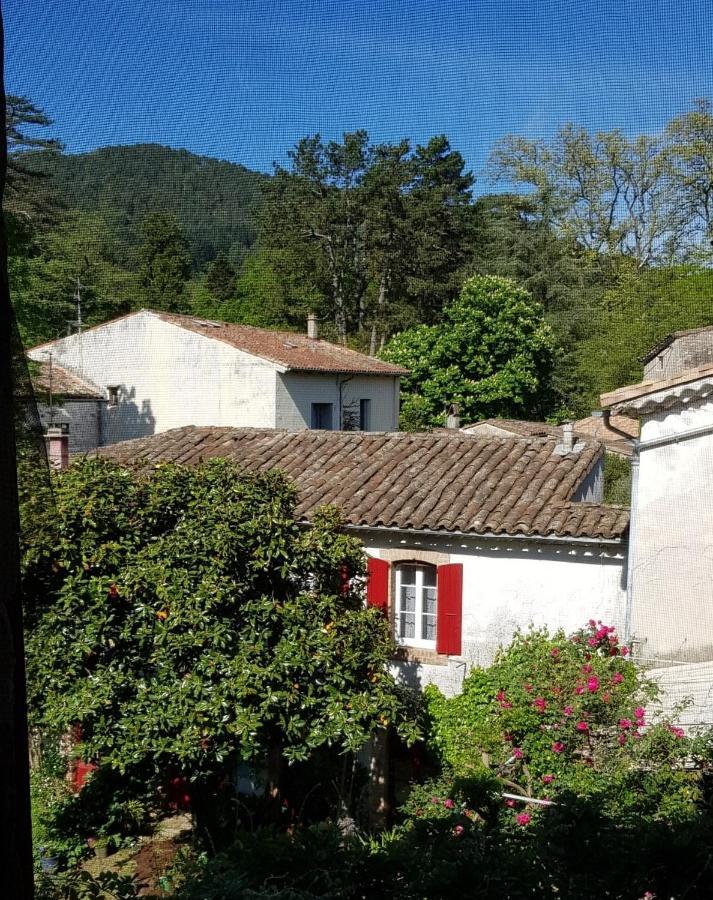 Vista Cevenol: Appartement 2 Chambres سان جان دو جارد المظهر الخارجي الصورة